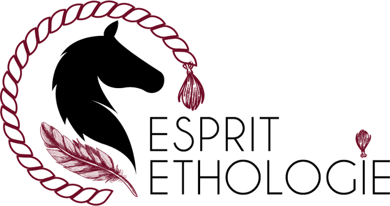 Esprit Éthologie